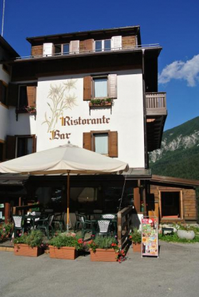 Отель Albergo Stella Alpina  San Pietro di Cadore